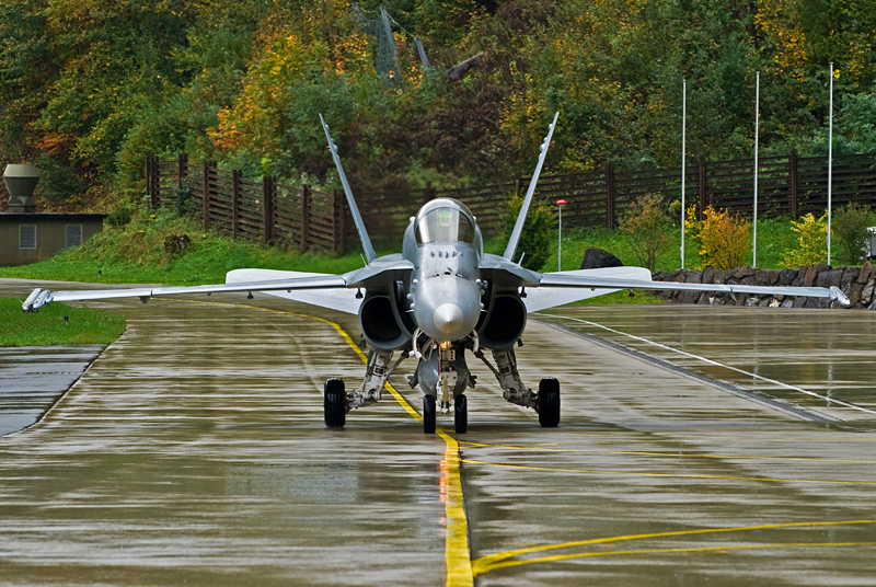 74_Meiringen_FA-18C Hornet.jpg